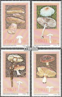 Produktbild von Briefmarken Südafrika - Ciskei 1987 Mi 110-113 (kompl.Ausg.) FDC Eßbare Pilze