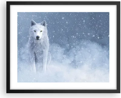 Produktbild von Gerahmtes Poster - Schwarzer Rahmen - Weiß Wolf Schnee - 50x40 cm - Wand Bild - Wanddeko - Wandbilder - Kunstposter - Wandposter - Bilderrahmen - Bilder - Kunstdruck - Wanddekoration - P2BAA50x40-5006