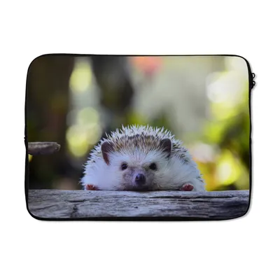 Produktbild von MuchoWow® Laptop Hülle 14 ZollIgel liegt auf Holz Laptoptasche - Laptoptasche - Stoßsicher - Schutzhaube