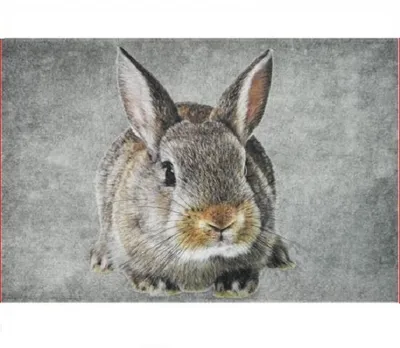 Imagen del producto de Alfombrilla con diseño de conejo