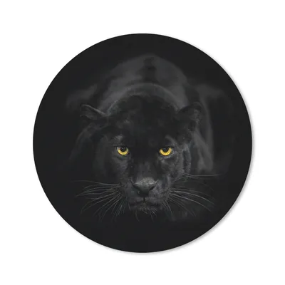 Produktbild von MuchoWow® Mauspad Mousepad Leopard - Augen - Schwarz 20x20 cm - Mousepads - Maus Mat - Pad - Mausunterlage - Schreibtischmatte