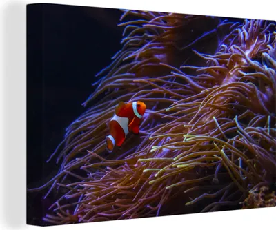 Obrázek produktu pro OneMillionCanvasses® Malba na plátně Nástěnná malba na plátně - Nemo - Ryby - Korál - 150x100cm