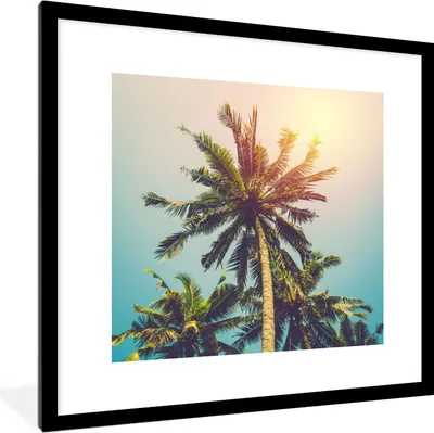 Produktbild von MuchoWow® Gerahmtes Poster Palme - Sommer - Tropisch - Sonne 40x40 cm - Poster mit Schwarzem Bilderrahmen Wandposter Rahmen Foto Bilder - Poster - Plakat im Rahmen
