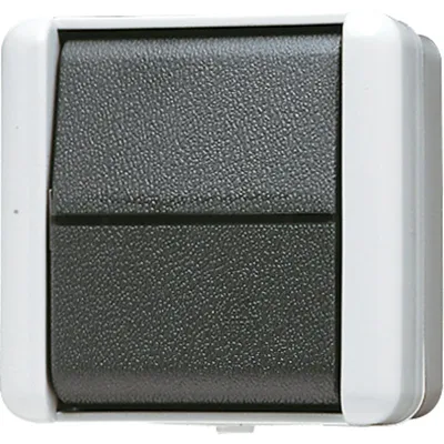 Image de JUNG Interrupteur à bascule 806W WG800 IP44 Universel Interrupteur à bascule 806W (806W)