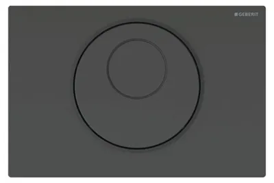 Produktbild von Geberit 115.890.DW.6, Spülplatte, Schwarz, Geberit, 246 mm, 15 mm, 164 mm