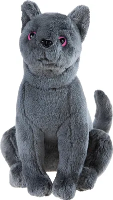 Produktbild von Heunec Schule der magischen Tiere Kater Karajan GRS klein