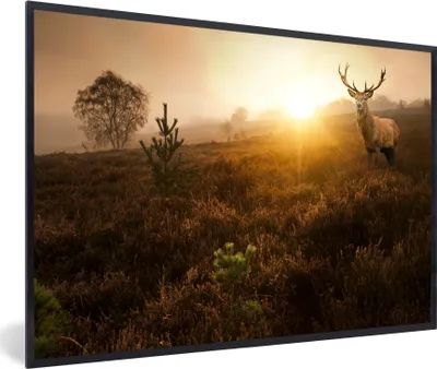 Produktbild von MuchoWow® MuchoWow® Gerahmtes Poster Hirsche - Nebel - Sonnenuntergang 60x40 cm - Poster mit zchwarzem Bilderrahmen - Printing - Wanddeko Schlafzimmer