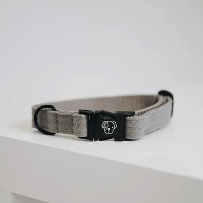 Obrázek produktu pro Kentucky Dogwear Ještěrčí obojek pro psy Béžová M
