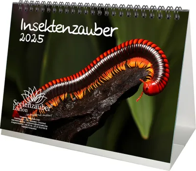 Produktbild von Insektenzauber DIN A5 Tischkalender für 2025 - Seelenzauber