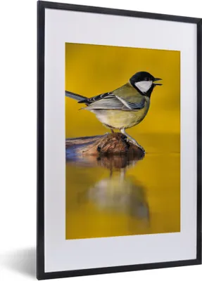 Produktbild von MuchoWow® Gerahmtes Poster Kohlmeise - Vogel - Wasser 40x60 cm - Poster mit Schwarzem Bilderrahmen Wandposter Rahmen Foto Bilder - Poster in Rahmen