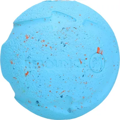 Produktbild von Chuckit! Hundespielzeug Rebounce Fetch Ball, Größe: M