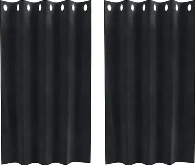 Immagine prodotto di vidaXL Tende oscuranti 2 pezzi Nero 140 x 140 cm Velluto