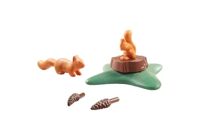 Produktbild von PLAYMOBIL Wiltopia 71065 Wiltopia - Eichhörnchen