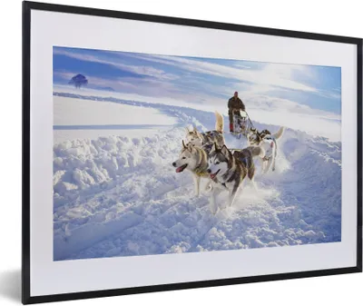 Produktbild von MuchoWow® Gerahmtes Poster Huskys für Hundeschlitten 60x40 cm - Poster mit Schwarzem Bilderrahmen Wandposter Rahmen Foto Bilder - Schlafzimmer - Plakat in Rahmen - Drucken