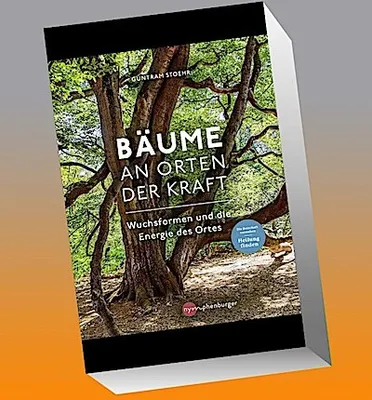 Produktbild von Bäume an Orten der Kraft