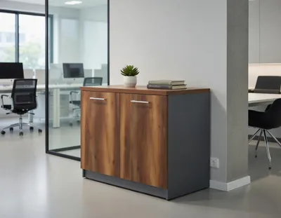 Image de Buffet moderne en bois  avec espace de rangement
