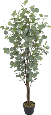 Image de Eucalyptus Plante Arbre Artificielle Plastique 140 cm Decovego