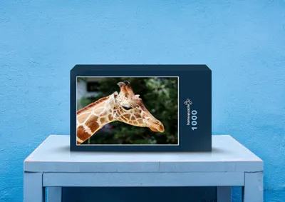 Produktbild von hansepuzzle 78865 - Giraffe Puzzle, 1000 Teile, Natur, 60,0 x 46,0cm mit hochwertiger Aufbewahrung, Kartonbox und wiederverschließbarem Beutel