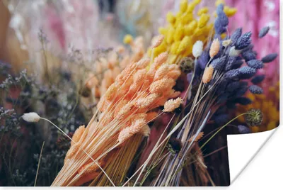 Produktbild von MuchoWow® Poster Getrocknete Blumen - Farben - Stilleben 60x40 cm - Schlafzimmerdekoration
