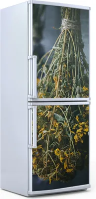 Produktbild von Kühlschrankdekoration 70x180 cm Aufkleber auf dem Kühlschrank - Hängende Kräuter Herbs