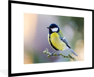 Produktbild von MuchoWow® Gerahmtes Poster Kohlmeise - Vogel - Zweig 90x60 cm - Poster mit Schwarzem Bilderrahmen Wandposter Rahmen Foto Bilder - Wanddekoration - Fotos