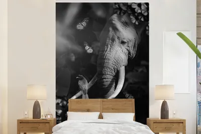 Produktbild von Fotobehang Porträt von einem Elefanten und einem Vogel in der Dschungel Szene - Schwarz Weiß - Breite 180 cm x Höhe 280 cm