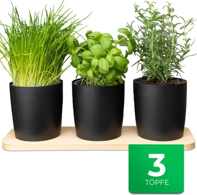 Produktbild von Novaliv Stilvolle Kräuterstation 3er Set mit Holzunterlage - Kräutertopf für jede Fensterbank, Für frische Küchenkräuter, Kräutergarten für die küche, Kräuterbeet indoor, Blumenkasten, Pflanzentopf