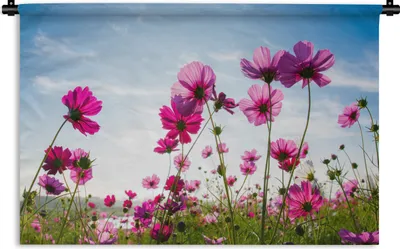 Produktbild von MuchoWow® Wandteppich Wandbehang Blumen - Rosa - Cosmea 150x100 cm Tapisserie Dekoration Wandtuch - Waschbar - Tapisserien - Wand-Decke