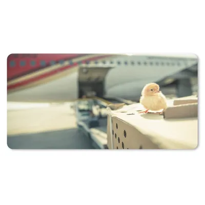 Produktbild von MuchoWow® Mauspad Mousepad Küken - Huhn - Flugzeug 60x30 cm - Mousepads - Maus Mat - Pad - Mausunterlage - Nachhaltig