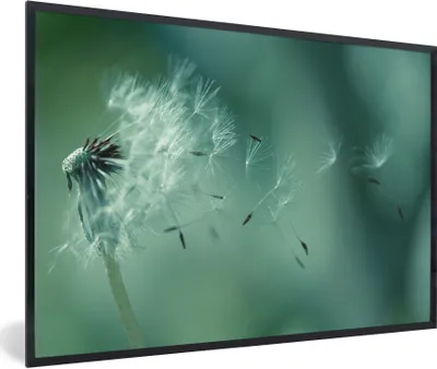 Produktbild von MuchoWow® Gerahmtes Poster Löwenzahn im Wind 30x20 cm - Poster mit Schwarzem Bilderrahmen Wandposter Rahmen Foto Bilder - Kunstdruck - Bild-Poster