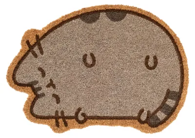 Pusheen Kokosmat 40x60 cm – Antislip, rechteckig