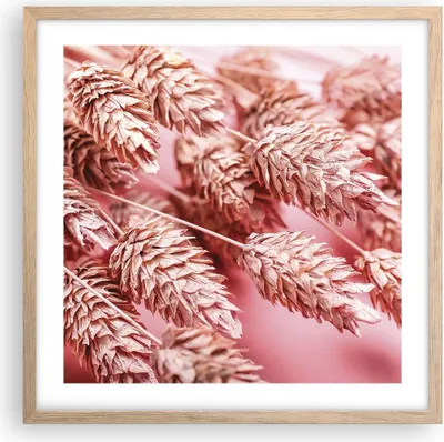 Produktbild von Gerahmtes Poster - Rahmen in heller Eiche - Klinge Gras getrocknet - 50x50 cm - Wand Bild - Wanddeko - Wandbilder - Kunstposter - Wandposter - Bilderrahmen - Bilder - Kunstdruck - P2NAC50x50-5120