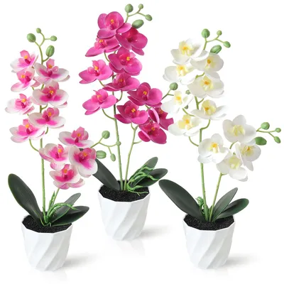 Immagine prodotto di Omgoods - 3 orchidee artificiali - fiori finti in vasi bianchi