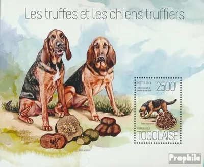 Produktbild von Briefmarken Togo 2013 Mi Block 908 (kompl. Ausgabe) postfrisch Pilze und Hunde