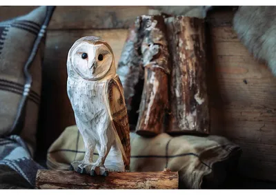 Immagine prodotto di WildlifeGarden DecoBird Schleiereule