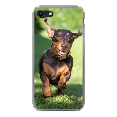 Produktbild von MuchoWow® Handyhülle Schutzhülle Hülle für iPhone 8 Ein sprintender Dackel Silikon Softcase Handy Hülle - Schutzhaube