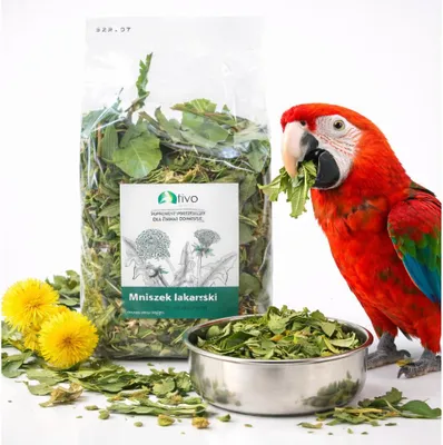 Obrázok produktu pre Listy púpory (Taraxacum officinale) pre papagáje | TIVO, 600 g