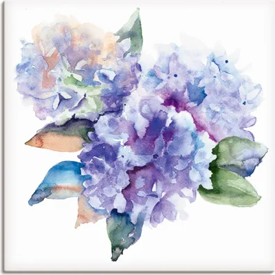 Produktbild von ARTland Leinwandbild Hortensien Größe: 70x70 cm