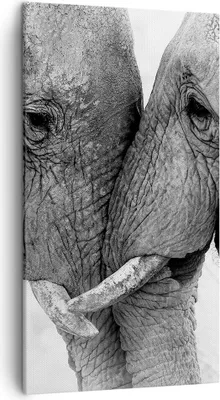 Produktbild von Bild auf Leinwand - Leinwandbild - Einteilig - Elefanten Safari Bond - 45x80cm - Wand Bild - Wanddeko - Wandbilder - Leinwanddruck - Bilder - Wanddekoration - Leinwand bilder - Wandbild - PA45x80-4973