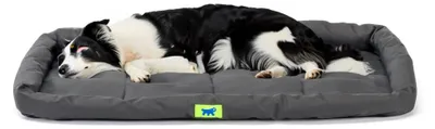 Produktbild von Ferplast Hundekissen Hundesofa Hundebette für Große Hunde Hundekorb Bezug Orthop