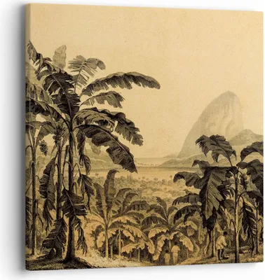 Produktbild von Bild auf Leinwand - Leinwandbild - Einteilig - Palmen Wald Regnerisch - 40x40cm - Wand Bild - Wanddeko - Wandbilder - Leinwanddruck - Bilder - Wanddekoration - Leinwand bilder - AC40x40-4983