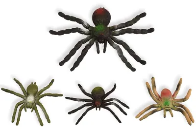 Image de Jeu de 4 araignées réalistes pour enfants