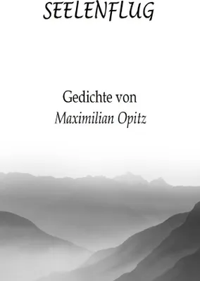 Produktbild von Seelenflug