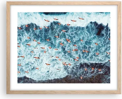 Produktbild von Gerahmtes Poster - Rahmen in heller Eiche - Flamingos Karibik Vögel - 50x40 cm - Wand Bild - Wanddeko - Wandbilder - Kunstposter - Wandposter - Bilderrahmen - Bilder - Kunstdruck - P2NAA50x40-5013