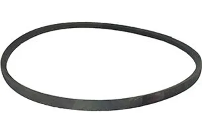 Image de Courroie pour tondeuses à gazon modèles Mowox 5690 Shw (dym1669eq), Mowox 5660 Shw (dym1669). Origine : 2102600020a, 2102600020n. []