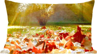 Produktbild von MuchoWow® Zierkissen Sofakissen Wohnzimmer Dekokissen 50x30 cm Laub - Licht - Gras - Herbst - Wohnzimmerdekoration - Polster mit Photo