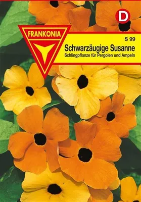 Produktbild von Schwarzäugige Susanne