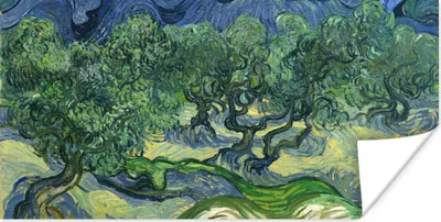 Produktbild von MuchoWow® Poster Die Olivenbäume - Vincent van Gogh 150x75 cm - ohne Rahmen