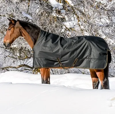 Produktbild von Bucas Irish Turnout 300 g High Neck, Outdoordecke, Weidedecke, Farbe:Black/gold, Größe:135