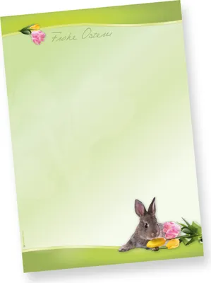 Produktbild von Briefpapier Osterhase (50 Blatt) schönes Motivpapier Ostern DIN A4 90g farbig, selbst bedruckbar